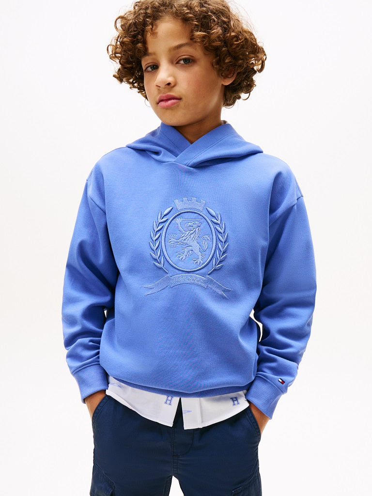 TOMMY HILFIGER Kids Tonal Crest Emb Graphic Hoodie TOMMY HILFIGER Kids Tonal Crest Emb Graphic Hoodie