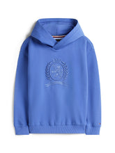 TOMMY HILFIGER Kids Tonal Crest Emb Graphic Hoodie