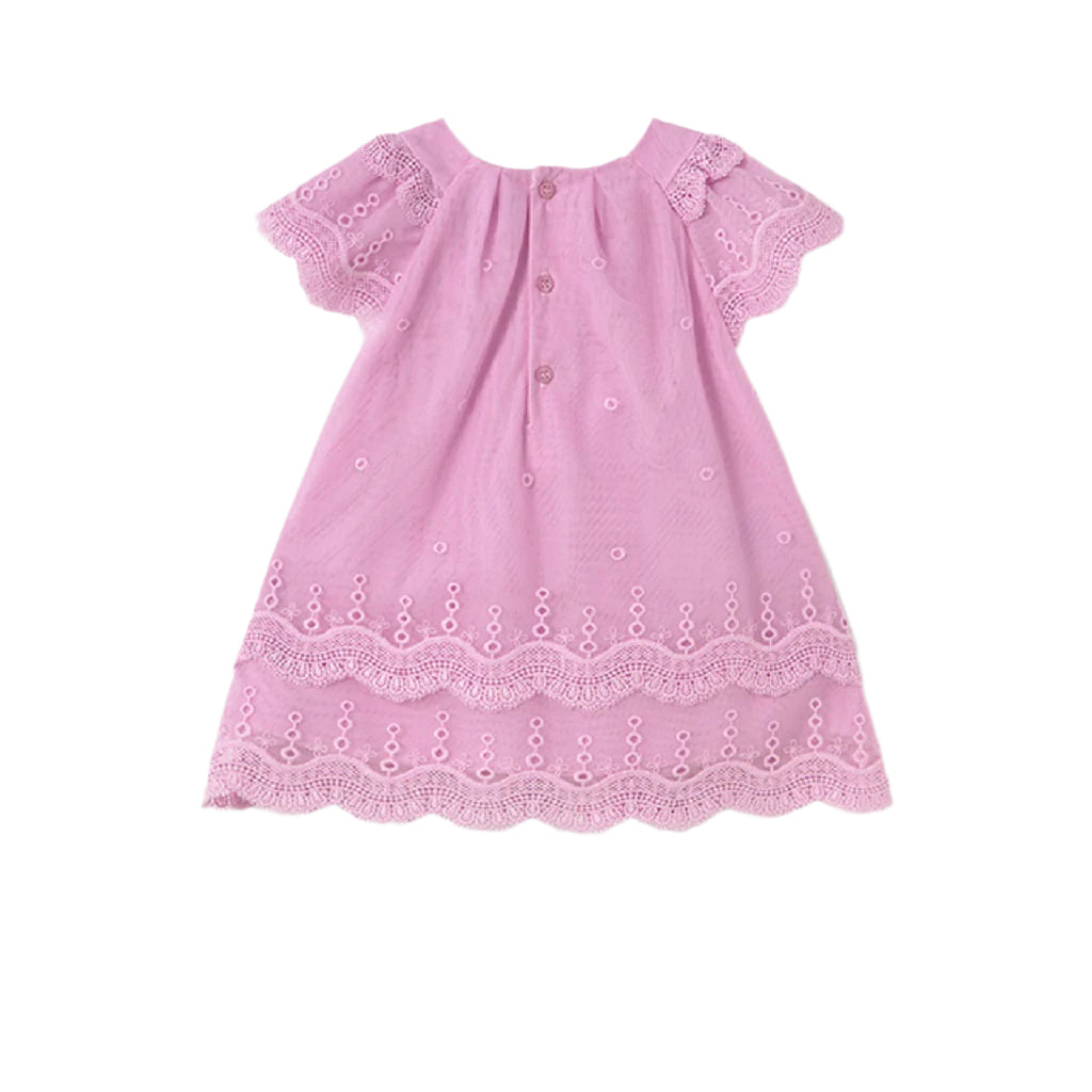 Baby Girls Embroidered Tulle Dress Mauve