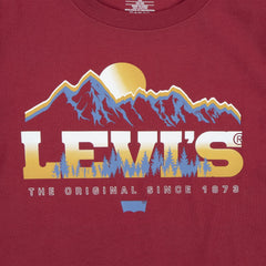 LEVIS Kids Magestic Mountains T-Shirt