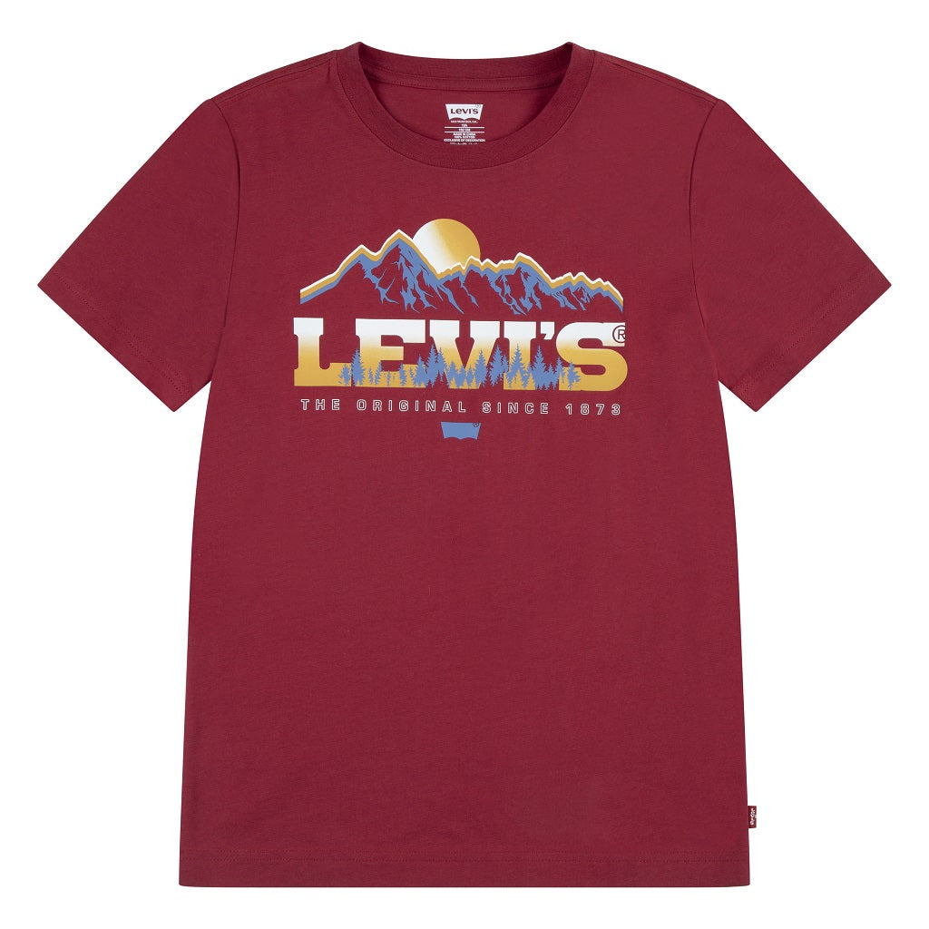 LEVIS Kids Magestic Mountains T-Shirt