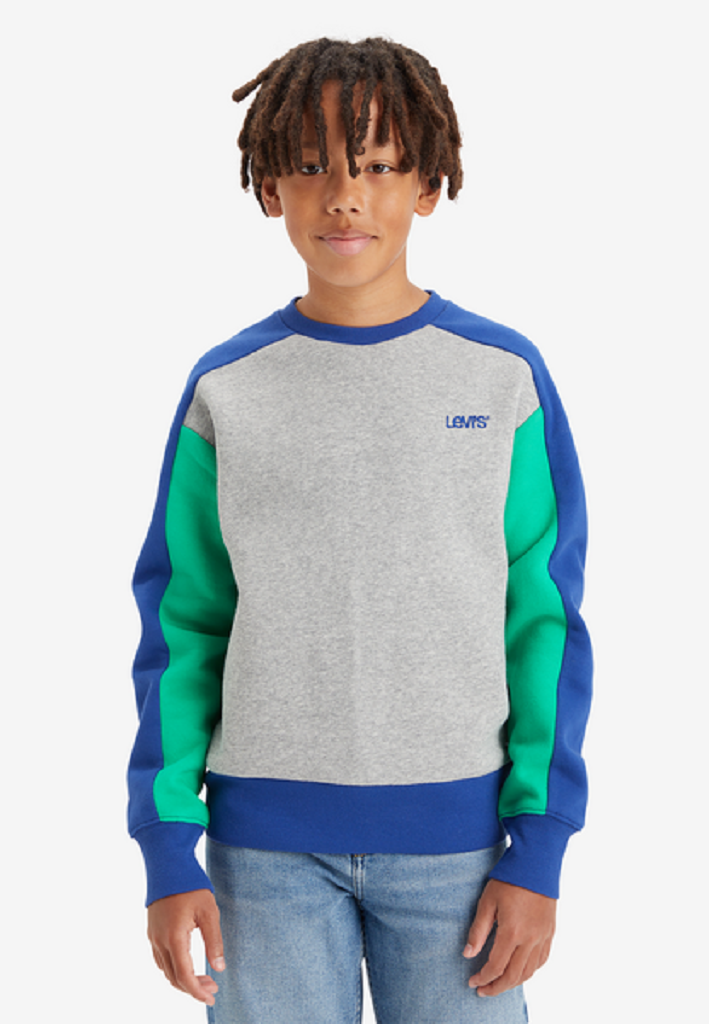 LEVIS Kids Colourblock Sweatshirt