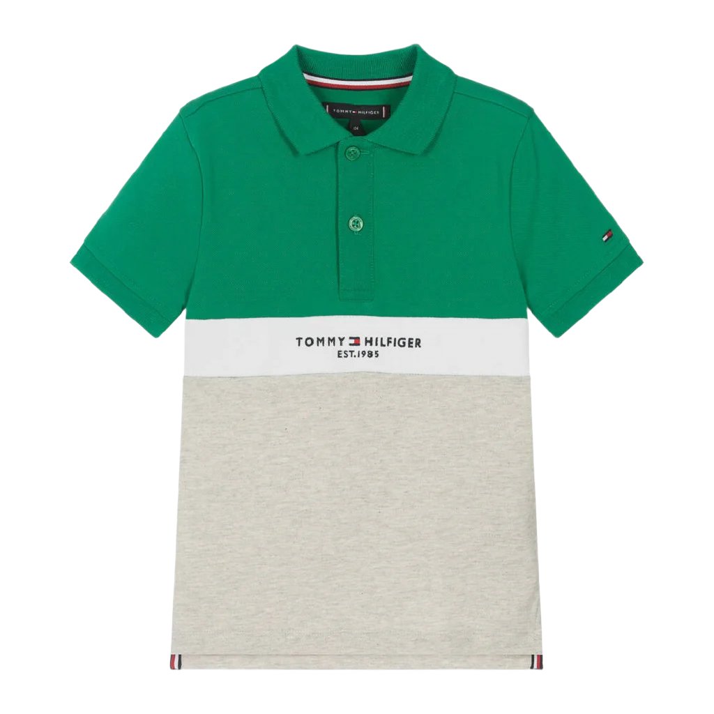 Tommy Hilfigeer Established Colorblock Polo Green